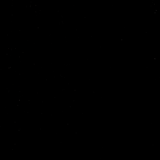 TruFlat® Black Plywood-1