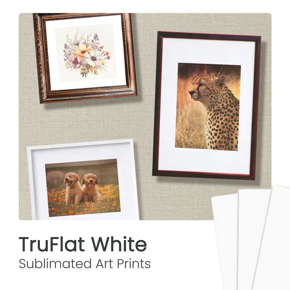 TruFlat laser-cut white art prints with framed leopard and dog photos