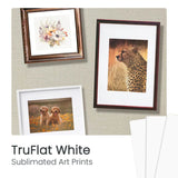TruFlat laser-cut white art prints with framed leopard and dog photos